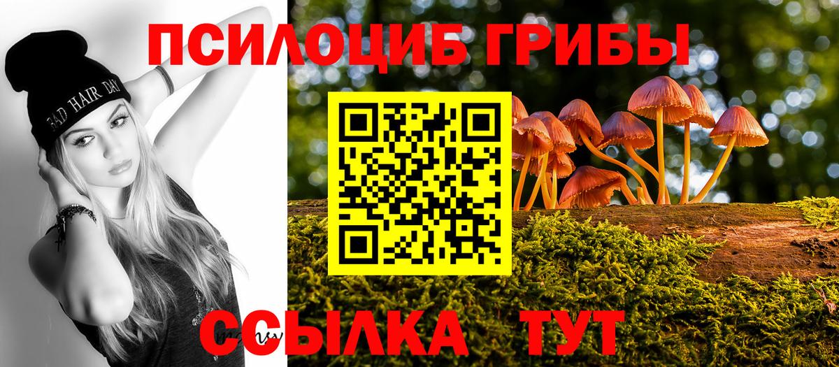 Галлюциногенные грибы Cubensis  Вход с VPN  Сорочинск 